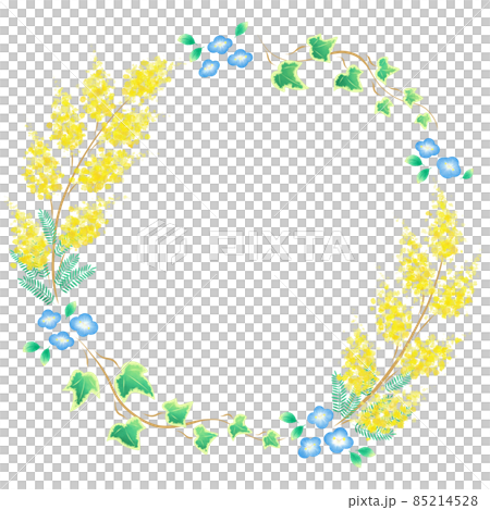 含羞草和波斯speedwell 的框架。 85214528