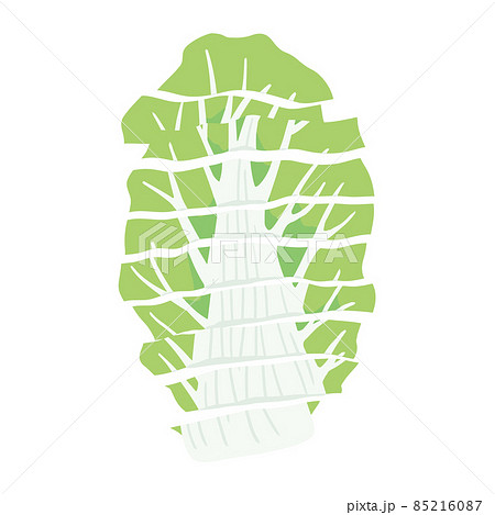 切った白菜　ざく切り 85216087