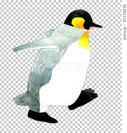 歩くキングペンギンの横向きのイラスト　かわいい手描き水彩イラスト素材 85216836