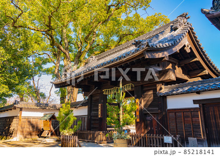 冬の徳川園、黒門の松飾り〈愛知県名古屋市〉 85218141
