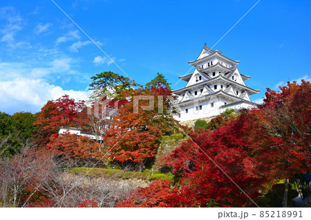 郡上八幡城　天守　天守炎上　郡上市 85218991