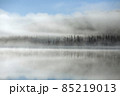 メディスンレークの幻想的な朝靄 85219013