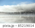メディスンレークの幻想的な朝靄 85219014