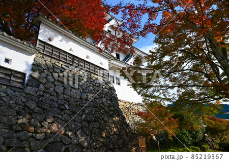 郡上八幡城　櫓　紅葉　岐阜県郡上市 85219367