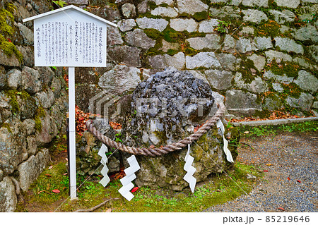 吉田神社 さざれ石(京都市左京区) 吉田神社 さざれ石(京都市左京区) 85219646