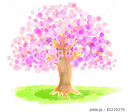 水彩手描きの桜の木 85220270