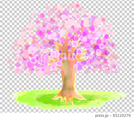水彩手描きの桜の木 85220270