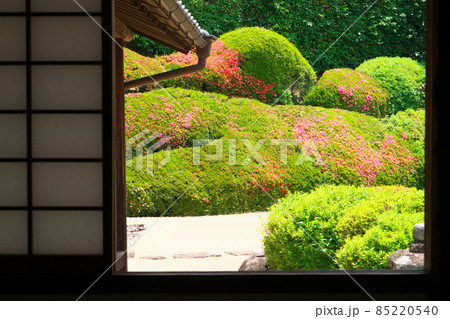【瀬戸内三十三観音霊場】第十三番 頼久寺の窓越しのサツキの花が咲く庭園1 岡山県高梁市 【瀬戸内三十三観音霊場】第十三番 頼久寺の窓越しのサツキの花が咲く庭園1 岡山県高梁市 85220540