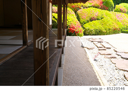 【瀬戸内三十三観音霊場】第十三番 頼久寺方丈の縁側とサツキの花咲く庭 岡山県高梁市 【瀬戸内三十三観音霊場】第十三番 頼久寺方丈の縁側とサツキの花咲く庭 岡山県高梁市 85220546