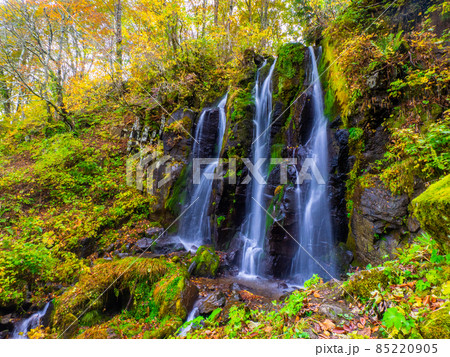 紅葉に囲まれた山奥の滝 (山形県、蔵王中央高原、不動滝) 85220905