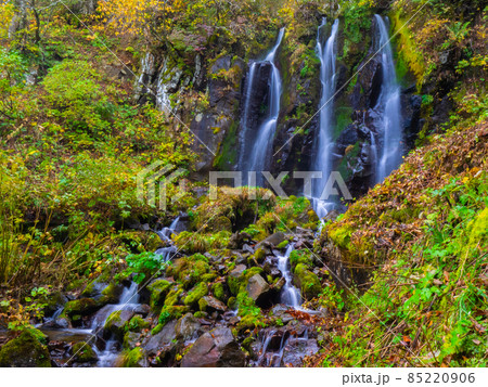 初秋の山奥の滝 (山形県、蔵王中央高原、不動滝) 初秋の山奥の滝 (山形県、蔵王中央高原、不動滝) 85220906