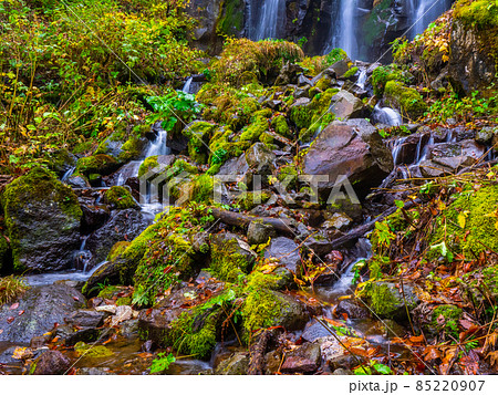 苔むした岩と周囲を流れ落ちる川の水 (山形県、蔵王中央高原、不動滝) 苔むした岩と周囲を流れ落ちる川の水 (山形県、蔵王中央高原、不動滝) 85220907