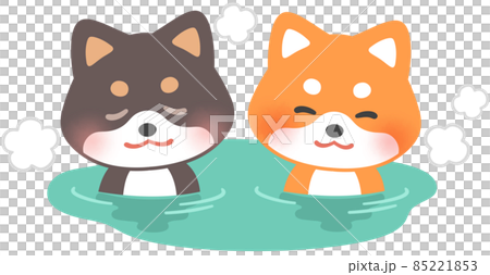 Shiba Inu in a hot spring 85221853