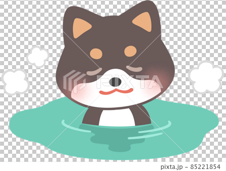 Kuroshiba in a hot spring 85221854