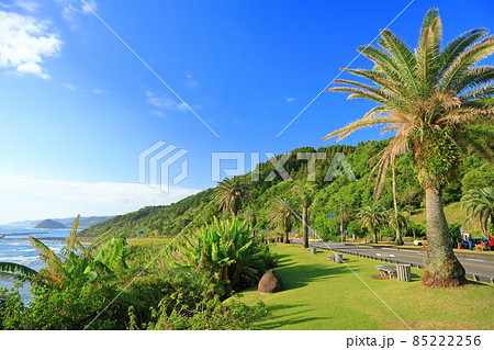 【宮崎県】晴天下の日南海岸(道の駅フェニックス) 【宮崎県】晴天下の日南海岸(道の駅フェニックス) 85222256