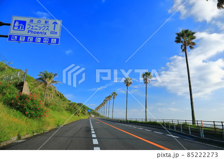 【宮崎県】晴天下の日南海岸（道の駅フェニックス） 85222273