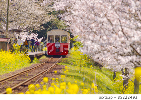桜と菜の花と小湊鉄道 桜と菜の花と小湊鉄道 85222493
