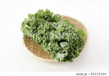 ケール ケール 85223344