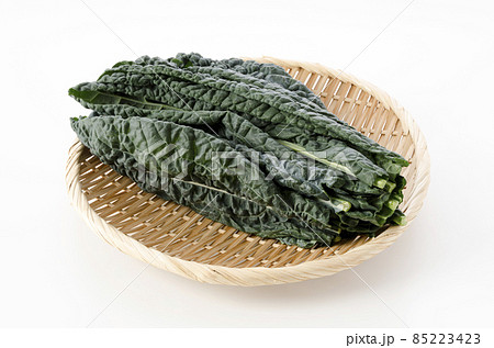 黒キャベツ 黒キャベツ 85223423