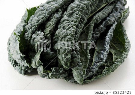 黒キャベツ 黒キャベツ 85223425