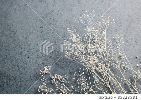 かすみ草のドライフラワー 85223581