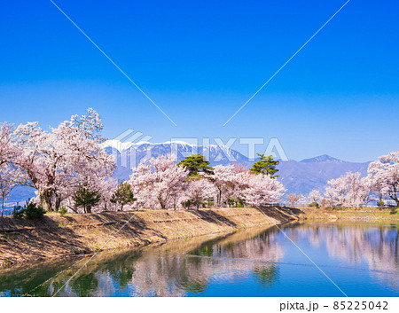 春の信州 高遠の桜風景 春の信州 高遠の桜風景 85225042