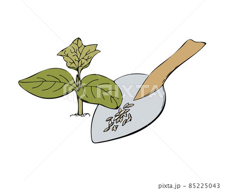 Sprout soil and seeds of cucumber, vector hand drawn illustration. Doodle Garden Plants, Seedlings. Contour image, contour. Isolated, white background. Sprout soil and seeds of cucumber, vector hand drawn illustration. Doodle Garden Plants, Seedlings. Contour image, contour. Isolated, white background. 85225043