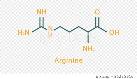 Arginine chemical formula. Arginine structural chemical formula isolated on transparent background. 85225916