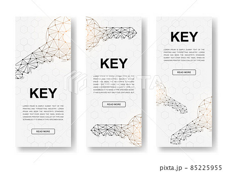Set of three Key polygonal vertical banners. 3d Key low poly symbols with connected dots. Vertical illustration for homepage design, promo banner. 85225955
