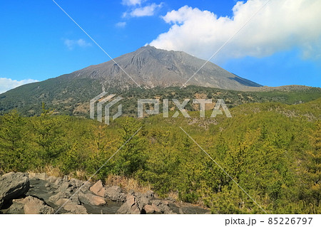 【鹿児島県】有村溶岩展望所から見た桜島 【鹿児島県】有村溶岩展望所から見た桜島 85226797