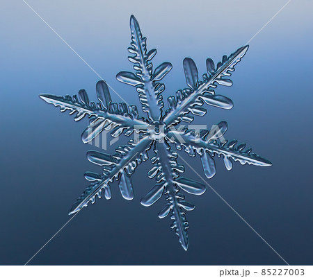 Snowflake on smooth gradient background. Macro photo of real snow crystal on glass surface. This is small snowflake with unusual pattern. Snowflake on smooth gradient background. Macro photo of real snow crystal on glass surface. This is small snowflake with unusual pattern. 85227003