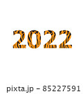 2022 new year digits covered with tiger skin pattern 85227591