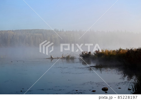 Morning mist rising off of Alberta Lake Morning mist rising off of Alberta Lake 85228197
