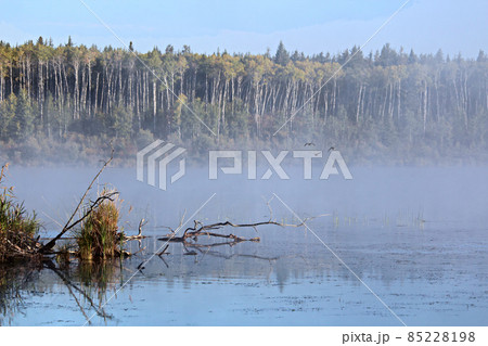 Morning mist rising off of Alberta Lake Morning mist rising off of Alberta Lake 85228198