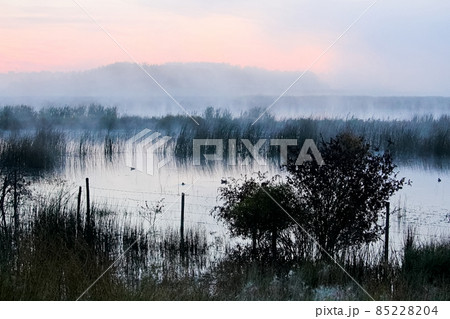 Morning mist rising off of Alberta Lake Morning mist rising off of Alberta Lake 85228204