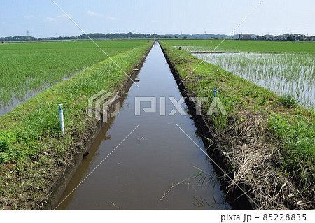農業用水路兼排水路 茨城県 農業用水路兼排水路 茨城県 85228835