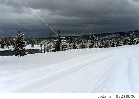 Yellowstone Winter Snow Yellowstone Winter Snow 85228906