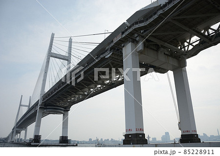 ベイブリッジ ベイブリッジ 85228911