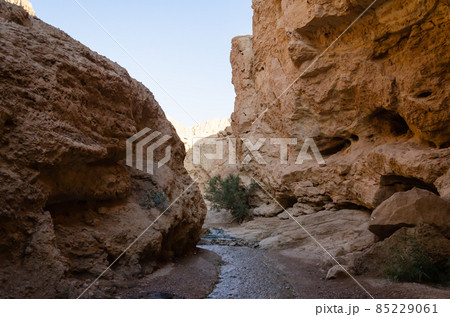 in the rocky canyon of the riverbed near the resort town of Ein Bokek 85229061