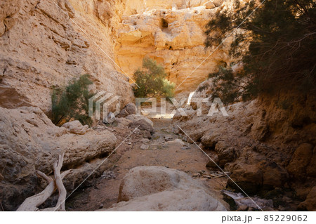 in the rocky canyon of the riverbed near the resort town of Ein Bokek 85229062
