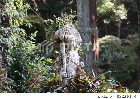 草木に覆われた石仏にピント合わせてバックの木々の森ぼぼかして撮影した風景 85229144