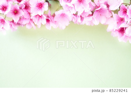 桜　春のイメージ 85229241