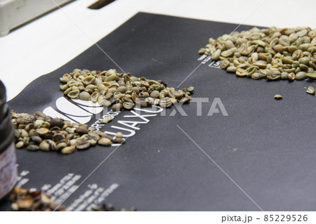 選別されたブラジル産コーヒーの生豆 85229526