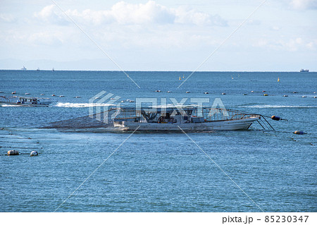 明石 のり漁 85230347