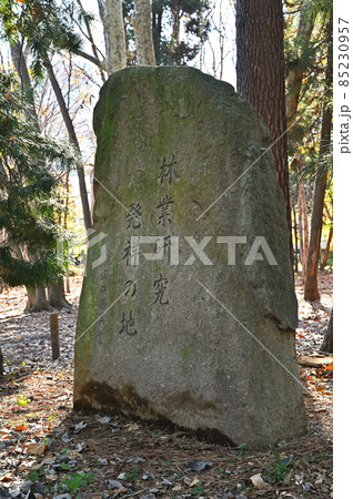 都立林試の森公園:林業研究発祥の地碑 都立林試の森公園:林業研究発祥の地碑 85230957