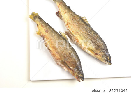 魚 魚類 サカナ 85231045
