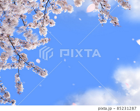 桜の花と青空のシンプルな素材 85231287