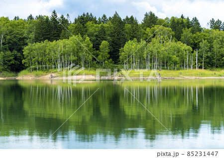 朱鞠内湖畔キャンプ場 夏の北海道 朱鞠内湖畔キャンプ場 夏の北海道 85231447