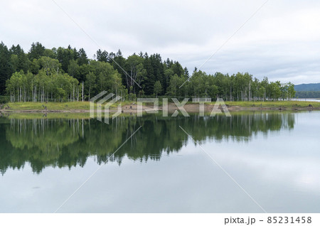 朱鞠内湖畔キャンプ場　夏の北海道 85231458