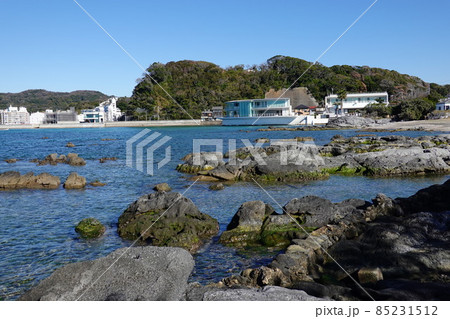 天神島臨海自然教育園 天神島臨海自然教育園 85231512